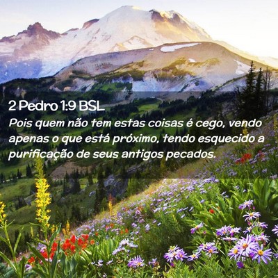 Picture 02 - 2 Pedro 1:9 BSL - Pois quem não tem estas coisas é cego, vendo - Bible Verse Picture
