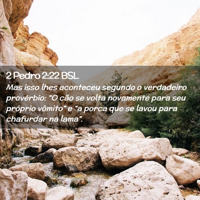 Picture 02 - 2 Pedro 2:22 BSL - Mas isso lhes aconteceu segundo o verdadeiro - Bible Verse Picture