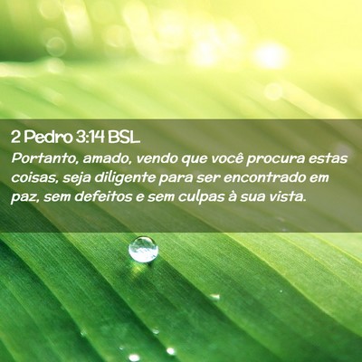 Picture 02 - 2 Pedro 3:14 BSL - Portanto, amado, vendo que você procura estas - Bible Verse Picture