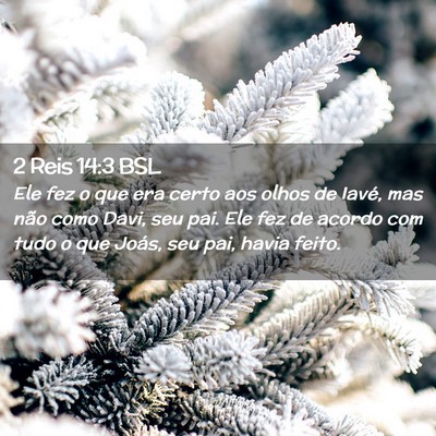 Picture 02 - 2 Reis 14:3 BSL - Ele fez o que era certo aos olhos de Iavé, mas - Bible Verse Picture