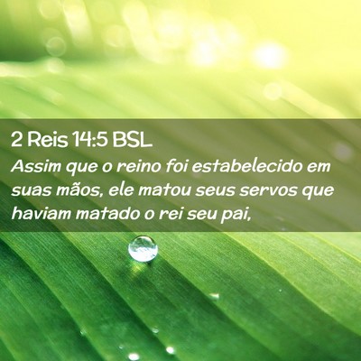 Picture 02 - 2 Reis 14:5 BSL - Assim que o reino foi estabelecido em suas mãos, - Bible Verse Picture