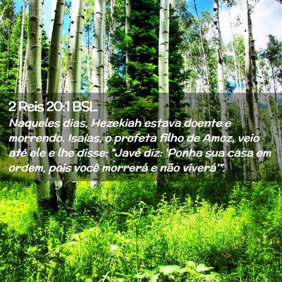 Picture 02 - 2 Reis 20:1 BSL - Naqueles dias, Hezekiah estava doente e morrendo. - Bible Verse Picture