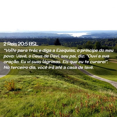 Picture 02 - 2 Reis 20:5 BSL - “Volte para trás e diga a Ezequias, o - Bible Verse Picture