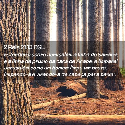Picture 02 - 2 Reis 21:13 BSL - Estenderei sobre Jerusalém a linha de Samaria, e - Bible Verse Picture