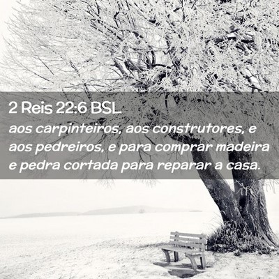 Picture 02 - 2 Reis 22:6 BSL - aos carpinteiros, aos construtores, e aos - Bible Verse Picture