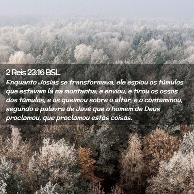 Picture 02 - 2 Reis 23:16 BSL - Enquanto Josias se transformava, ele espiou os - Bible Verse Picture