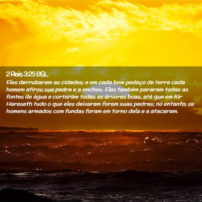 Picture 02 - 2 Reis 3:25 BSL - Eles derrubaram as cidades; e em cada bom pedaço - Bible Verse Picture