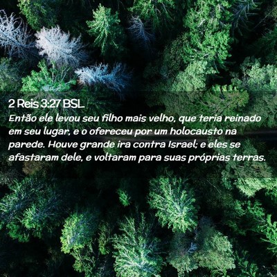 Picture 02 - 2 Reis 3:27 BSL - Então ele levou seu filho mais velho, que teria - Bible Verse Picture