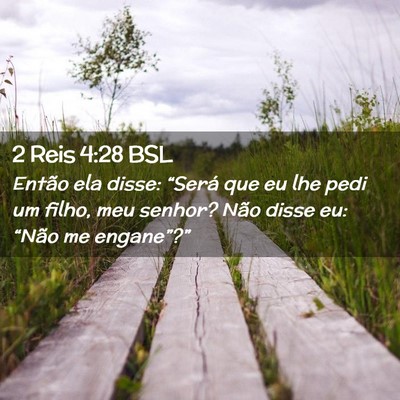 Picture 02 - 2 Reis 4:28 BSL - Então ela disse: “Será que eu lhe pedi um - Bible Verse Picture