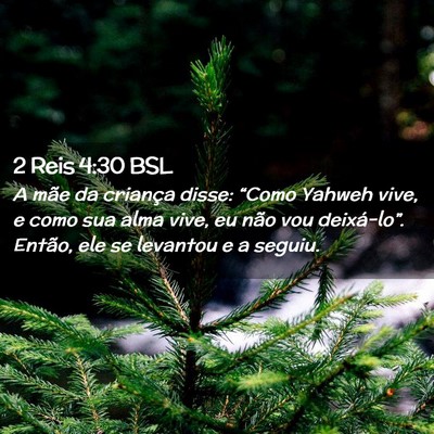 Picture 02 - 2 Reis 4:30 BSL - A mãe da criança disse: “Como Yahweh vive, e - Bible Verse Picture