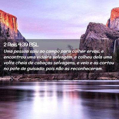 Picture 02 - 2 Reis 4:39 BSL - Uma pessoa saiu ao campo para colher ervas, e - Bible Verse Picture
