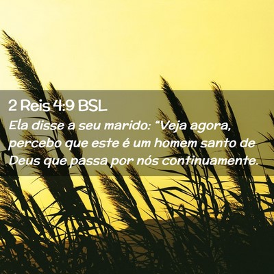 Picture 02 - 2 Reis 4:9 BSL - Ela disse a seu marido: “Veja agora, percebo - Bible Verse Picture