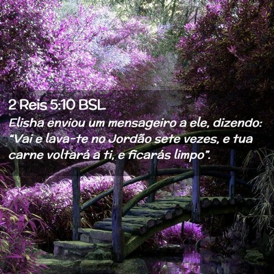 Picture 02 - 2 Reis 5:10 BSL - Elisha enviou um mensageiro a ele, dizendo: - Bible Verse Picture