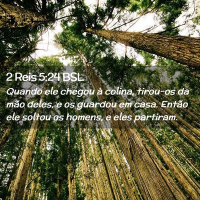 Picture 02 - 2 Reis 5:24 BSL - Quando ele chegou à colina, tirou-os da mão - Bible Verse Picture