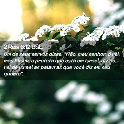Picture 02 - 2 Reis 6:12 BSL - Um de seus servos disse: “Não, meu senhor, ó - Bible Verse Picture
