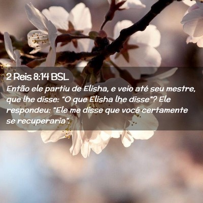 Picture 02 - 2 Reis 8:14 BSL - Então ele partiu de Elisha, e veio até seu - Bible Verse Picture