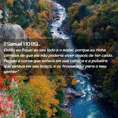 Picture 02 - 2 Samuel 1:10 BSL - Então eu fiquei ao seu lado e o matei, porque eu - Bible Verse Picture