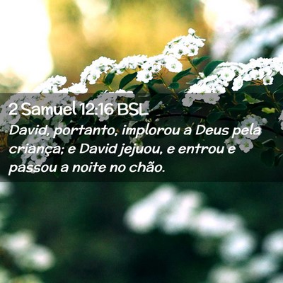 Picture 02 - 2 Samuel 12:16 BSL - David, portanto, implorou a Deus pela criança; e - Bible Verse Picture