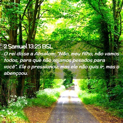 Picture 02 - 2 Samuel 13:25 BSL - O rei disse a Absalom: “Não, meu filho, não - Bible Verse Picture