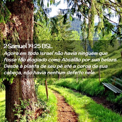 Picture 02 - 2 Samuel 14:25 BSL - Agora em todo Israel não havia ninguém que - Bible Verse Picture