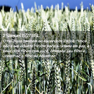 Picture 02 - 2 Samuel 15:27 BSL - O rei disse também ao sacerdote Zadok: “Você - Bible Verse Picture