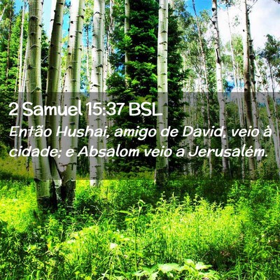 Picture 02 - 2 Samuel 15:37 BSL - Então Hushai, amigo de David, veio à cidade; e - Bible Verse Picture