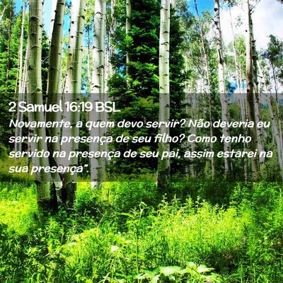 Picture 02 - 2 Samuel 16:19 BSL - Novamente, a quem devo servir? Não deveria eu - Bible Verse Picture