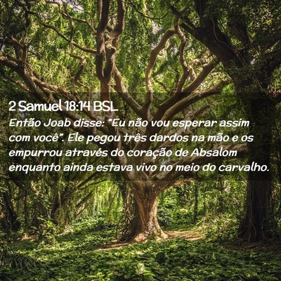 Picture 02 - 2 Samuel 18:14 BSL - Então Joab disse: “Eu não vou esperar assim - Bible Verse Picture