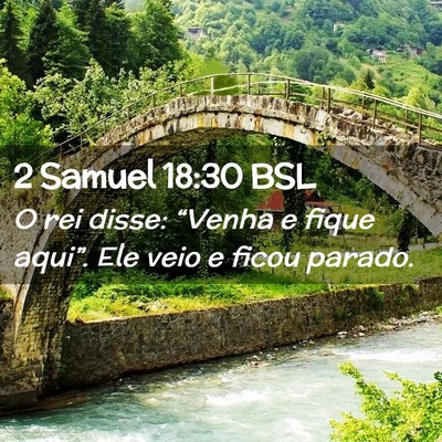 Picture 02 - 2 Samuel 18:30 BSL - O rei disse: “Venha e fique aqui”. Ele veio e - Bible Verse Picture