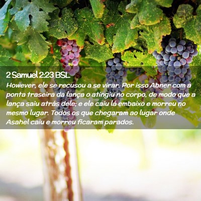 Picture 02 - 2 Samuel 2:23 BSL - However, ele se recusou a se virar. Por isso - Bible Verse Picture
