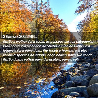 Picture 02 - 2 Samuel 20:22 BSL - Então a mulher foi a todas as pessoas em sua - Bible Verse Picture