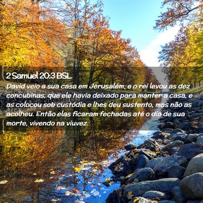 Picture 02 - 2 Samuel 20:3 BSL - David veio a sua casa em Jerusalém; e o rei - Bible Verse Picture
