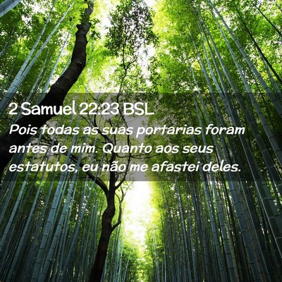 Picture 02 - 2 Samuel 22:23 BSL - Pois todas as suas portarias foram antes de mim. - Bible Verse Picture