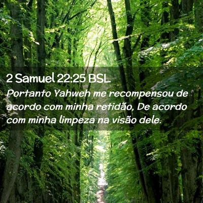 Picture 02 - 2 Samuel 22:25 BSL - Portanto Yahweh me recompensou de acordo com - Bible Verse Picture