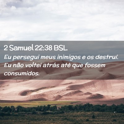 Picture 02 - 2 Samuel 22:38 BSL - Eu persegui meus inimigos e os destruí. Eu não - Bible Verse Picture