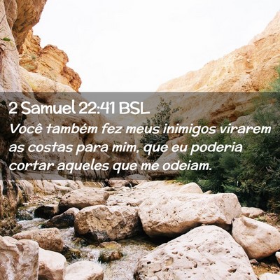Picture 02 - 2 Samuel 22:41 BSL - Você também fez meus inimigos virarem as costas - Bible Verse Picture
