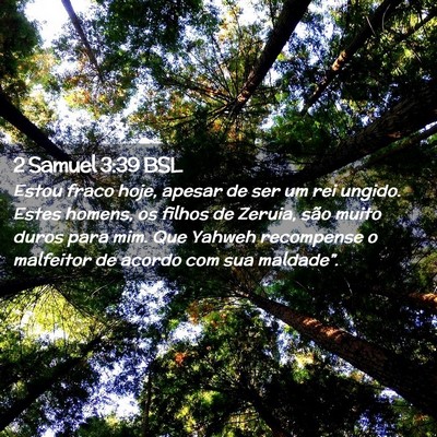 Picture 02 - 2 Samuel 3:39 BSL - Estou fraco hoje, apesar de ser um rei ungido. - Bible Verse Picture