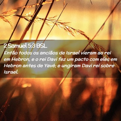 Picture 02 - 2 Samuel 5:3 BSL - Então todos os anciãos de Israel vieram ao rei - Bible Verse Picture