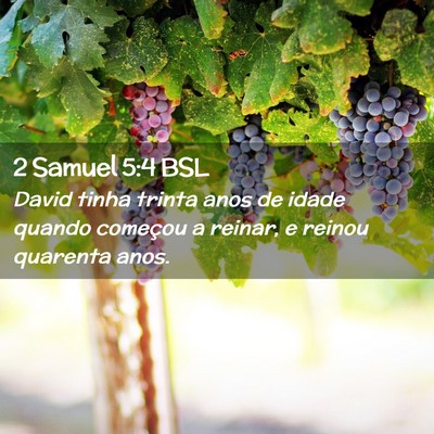Picture 02 - 2 Samuel 5:4 BSL - David tinha trinta anos de idade quando começou - Bible Verse Picture