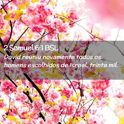 Picture 02 - 2 Samuel 6:1 BSL - David reuniu novamente todos os homens escolhidos - Bible Verse Picture