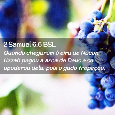 Picture 02 - 2 Samuel 6:6 BSL - Quando chegaram à eira de Nacon, Uzzah pegou a - Bible Verse Picture