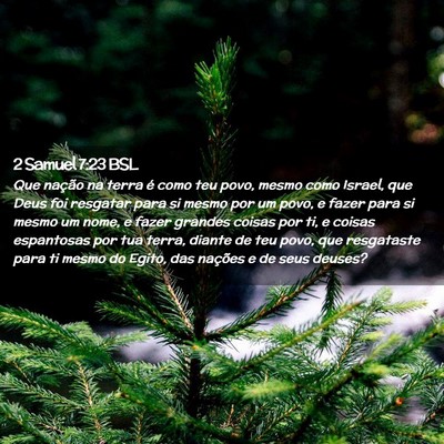 Picture 02 - 2 Samuel 7:23 BSL - Que nação na terra é como teu povo, mesmo como - Bible Verse Picture