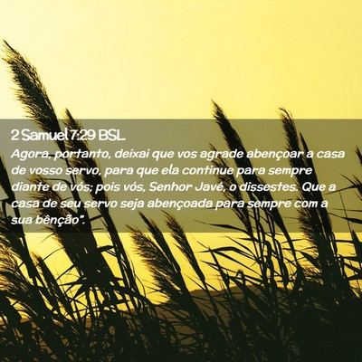 Picture 02 - 2 Samuel 7:29 BSL - Agora, portanto, deixai que vos agrade abençoar - Bible Verse Picture