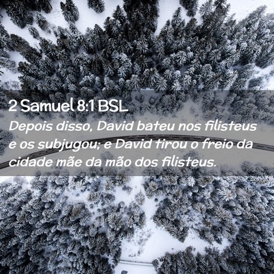 Picture 02 - 2 Samuel 8:1 BSL - Depois disso, David bateu nos filisteus e os - Bible Verse Picture