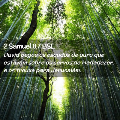 Picture 02 - 2 Samuel 8:7 BSL - David pegou os escudos de ouro que estavam sobre - Bible Verse Picture