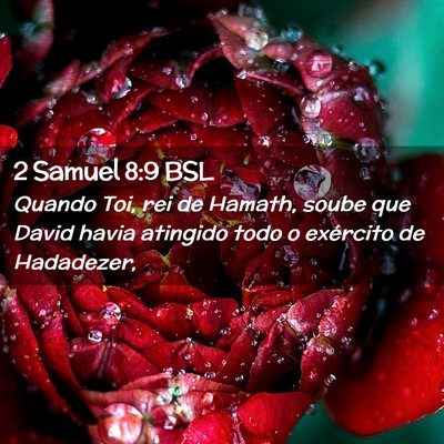 Picture 02 - 2 Samuel 8:9 BSL - Quando Toi, rei de Hamath, soube que David havia - Bible Verse Picture