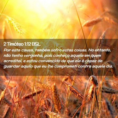 Picture 02 - 2 Timóteo 1:12 BSL - Por esta causa, também sofro estas coisas. No - Bible Verse Picture