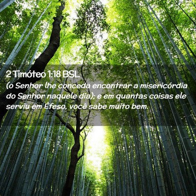 Picture 02 - 2 Timóteo 1:18 BSL - (o Senhor lhe conceda encontrar a misericórdia - Bible Verse Picture