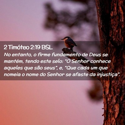 Picture 02 - 2 Timóteo 2:19 BSL - No entanto, o firme fundamento de Deus se - Bible Verse Picture