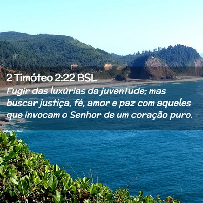 Picture 02 - 2 Timóteo 2:22 BSL - Fugir das luxúrias da juventude; mas buscar - Bible Verse Picture